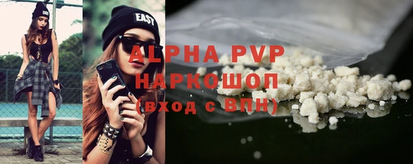 ГАЛЛЮЦИНОГЕННЫЕ ГРИБЫ Белокуриха