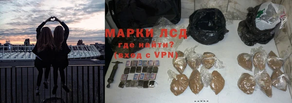 ГАЛЛЮЦИНОГЕННЫЕ ГРИБЫ Белокуриха