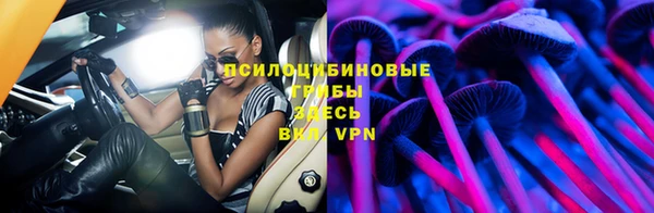 бошки Богданович