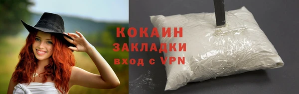 ALPHA PVP Богородицк