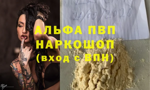 ГАЛЛЮЦИНОГЕННЫЕ ГРИБЫ Белокуриха