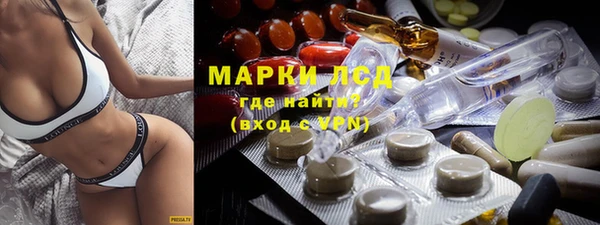 ГАЛЛЮЦИНОГЕННЫЕ ГРИБЫ Белокуриха