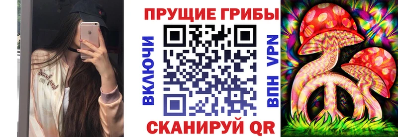 Галлюциногенные грибы Psilocybine cubensis  Высоковск 